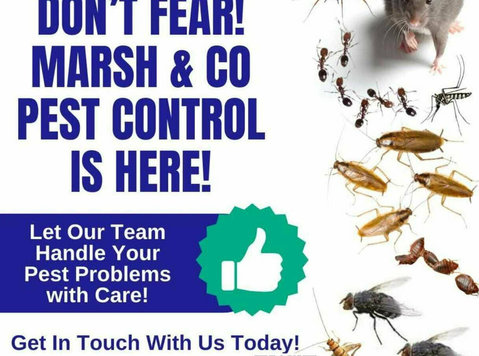 Pest Control Services - Muu
