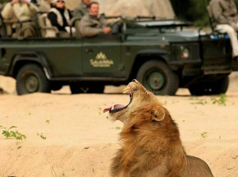 best African safari trips - Outros