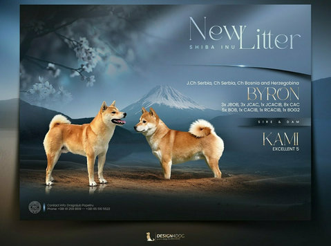 Shiba inu kućići na prodaju - Lemmikit/Eläimet