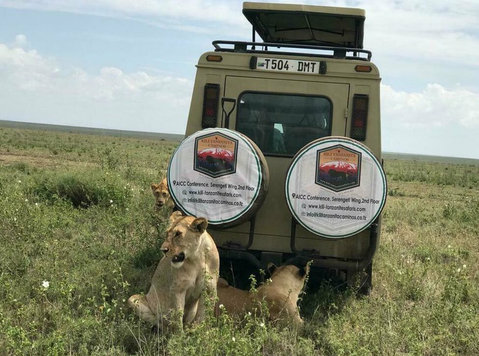 Booking a family-friendly Tanzania safari now is simple - Reisi/Sõidu Kaaslast