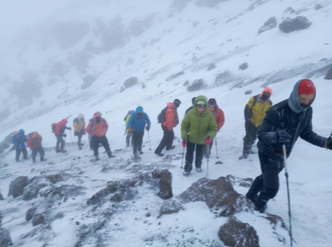 Kilimanjaro trekking private booking Lemosho route 8 days - 旅游/组团