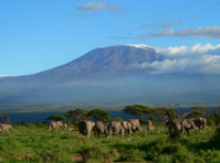 Kilimanjaro trekking private booking Lemosho route 8 days - Co-voiturage