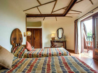 Low season discount lodge safari price offers are available - Útitárs