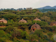 Low season discount lodge safari price offers are available - Reisen/Reisepartner