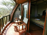 Low season discount lodge safari price offers are available - Reisen/Reisepartner