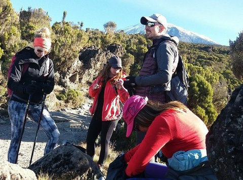 Rongai route Kilimanjaro climbing for beginner climbers - 旅游/组团