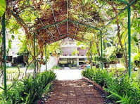 Pattaya Royal Hill Resort 90 Sqm Bargain Resale - Recherche d'associés