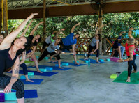 Master Muay Thai Training at Our Thailand Fitness Retreat - Iné