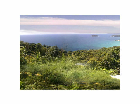 Phuket land for sell, 33 Rai by the sea, Kata Noi Beach, 3 b - Muu