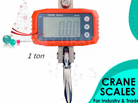 Heavy duty crane weighing scales with Bluetooth module - 其他