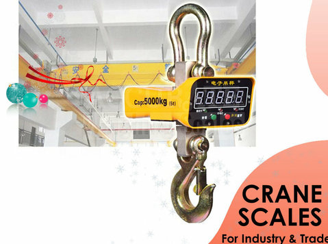 High quality cheap crane digital weighing scale 1 ton - Autres