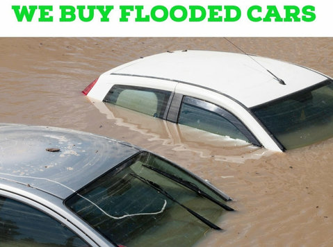 We are buying flooded cars. -  	
Bilar/Motorcyklar