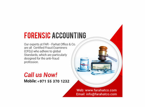 Book free consultation today- Forensic Audit, Fraud Investig - Право/финансије