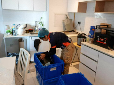 Moving Soon? Choose Gi Movers – Fast, Safe & Affordable! - Kolimine/Transport
