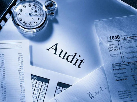 Core Services Offered by Intellect Chartered Accountants - Overig