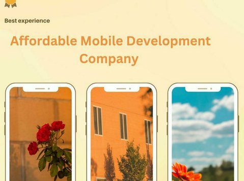 Finding the Right Mobile Development Company for Your Needs - மற்றவை
