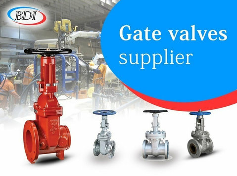 Quality You Can Trust: Choosing the Right Gate Valve Supplie - Övrigt