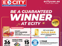 drive into dsf delight: free 2-day car rental at Ecity - Electrónica