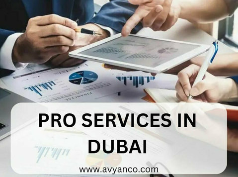 Pro Services in Dubai by Avyanco Business Set up Consultancy - Diğer
