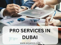 Pro Services in Dubai by Avyanco Business Set up Consultancy - אחר