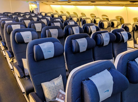 Grab the Best Economy Class Flight Deals - Патување/Возење