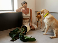 Residential and Commercial Pet Waste Removal Services - صفائي
