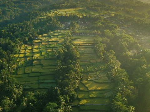 Bali Travel Guide – Your Passport to Paradise - Άλλο