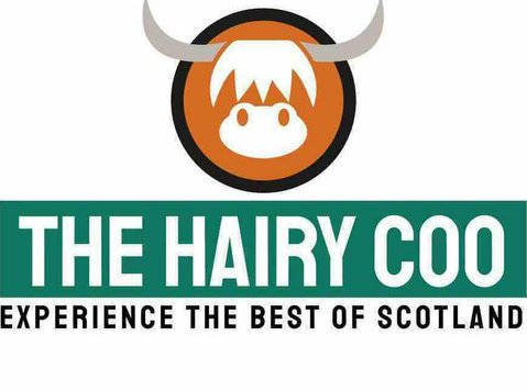 Experience the Best of Scotland on a Hairy Coo Tour - Autres
