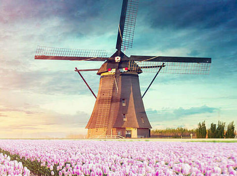Experience the beauty and peace of Netherlands - Ostatní