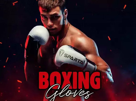 Boxing gloves - کھیل کا سامان/کشتیاں/سائکلیں