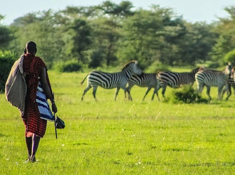 Masai Mara Safari & Mauritius all inclusive Holidays - Останато