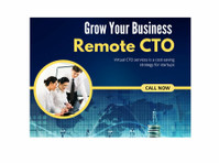 on-demand virtual cto in india - 电脑/网络