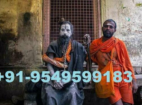 Husband Problems Solution Specialties Baba Ji +91-9549599183 - Services: Other