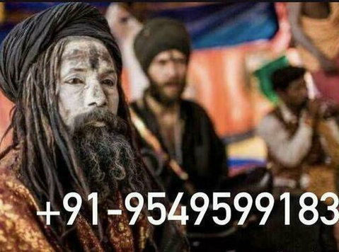 Marriage Problem Solution Astrologer Specialties Baba Ji - Andet