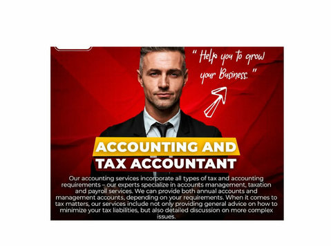 Seeking exceptional annual accountant services in Ruislio - Diğer