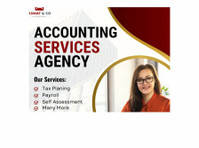 Seeking exceptional annual accountant services in Ruislio - 其他