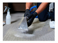Get Your Carpet Clean with the Best Carpet Cleaners in UK - Reinigung