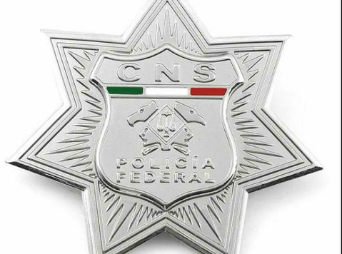 Brazil Cns Federal Police Badge Lapel Pins - Bộ sưu tập/Cổ vật