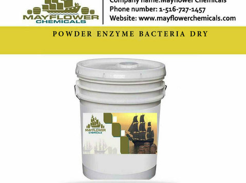 Buy Septic tank enzyme treatment - Iné