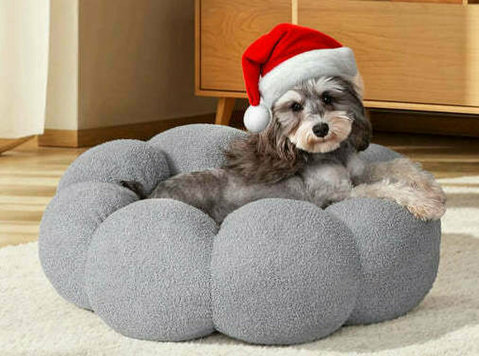 Luxury Designer Dog Beds That Blend Comfort & Style - Sonstige