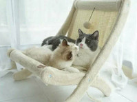 Luxury Designer Dog Beds That Blend Comfort & Style - Drugo