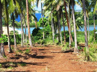 Oceanfront Lot In Tonga For $3,000 or B/O - Sonstige