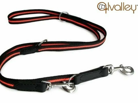 Secure Your Dog's Walks with a Non-slip Leash for Control - Altele