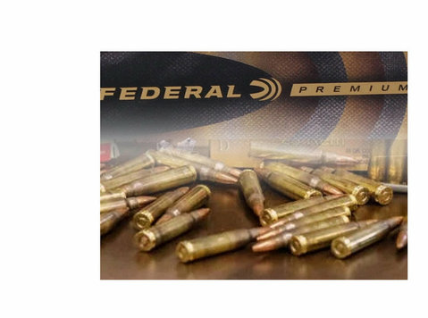 What are the best brands of ammunition - Iné