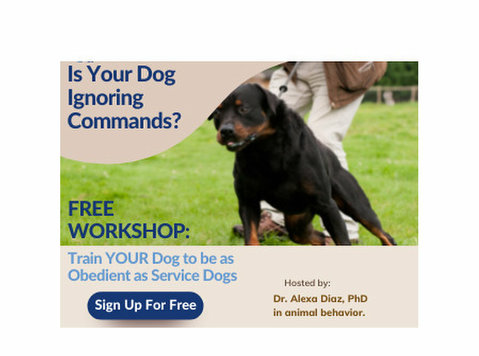 Free Dog Training Workshop - Secrets of Service Dog Trainers - 宠物/动物