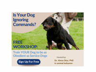 Free Dog Training Workshop - Secrets of Service Dog Trainers - בעלי-חיים