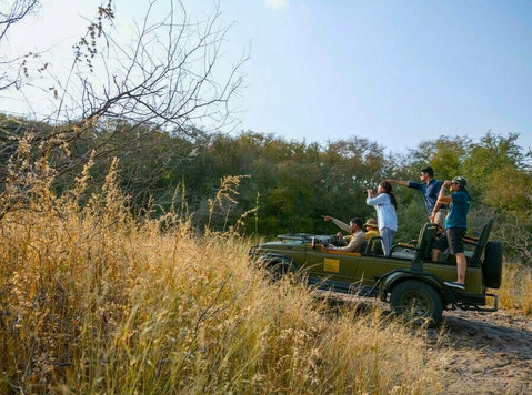 Luxury Safaris in India - Патување/Возење