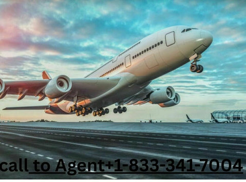 Qatar Airways Phone Number Miami - Патување/Возење