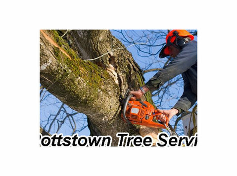 Pottstown Tree Service Emergency Tree Removal - Husholdning/reparation