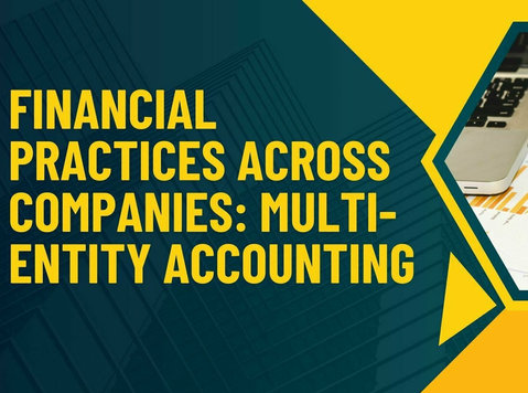 Financial Practices Across Companies: Multi-entity Accountin - Diğer
